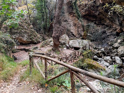 Private Off Road Tours